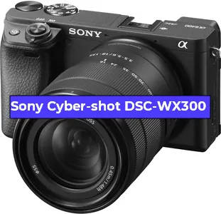Замена Чистка матрицы на фотоаппарате Sony Cyber-shot DSC-WX300 в Санкт-Петербурге